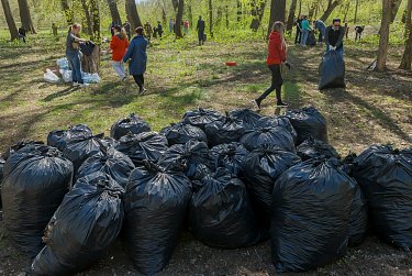 Зауральная роща готова встречать гостей